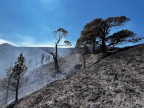 Firefighters leave scene of Cairngorms wildfire after nearly five weeks