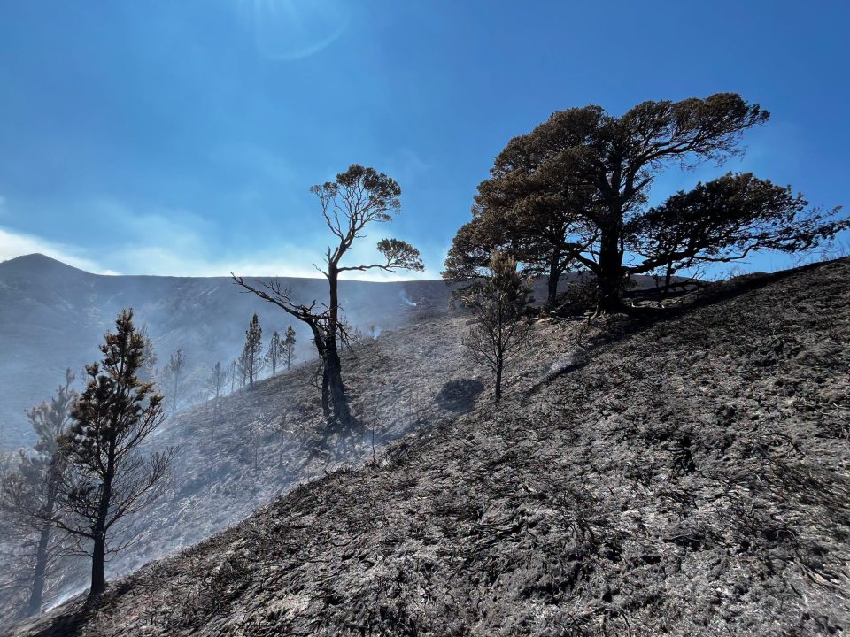 Firefighters leave scene of Cairngorms wildfire after nearly five weeks
