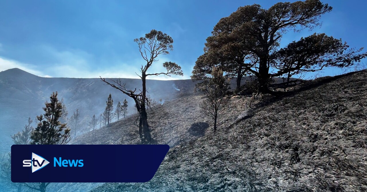 Feuerwehrleute verlassen den Einsatzort des Waldbrandes in den Cairngorms ...