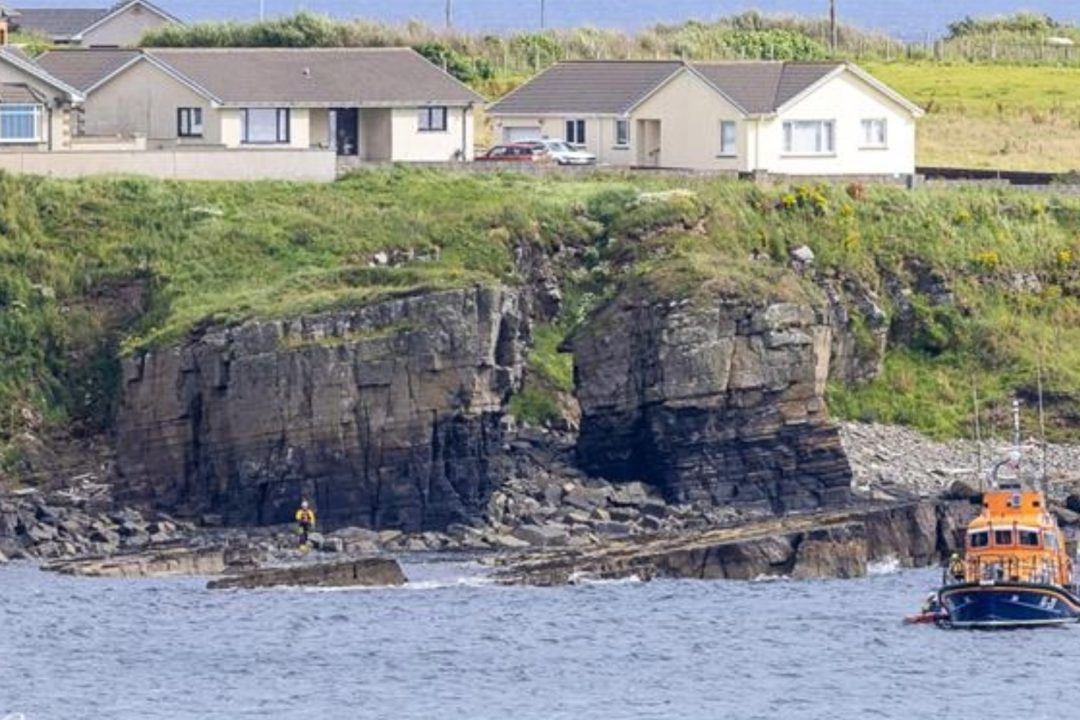Injured puppy rescued from Wick cliff after owner becomes stranded trying to help