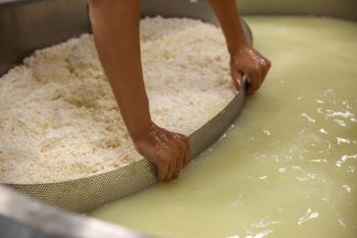 Scottish scientists turn cheese byproduct into fuel