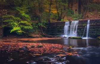 Body of girl, 11, recovered from water near Gore Glen woodland park