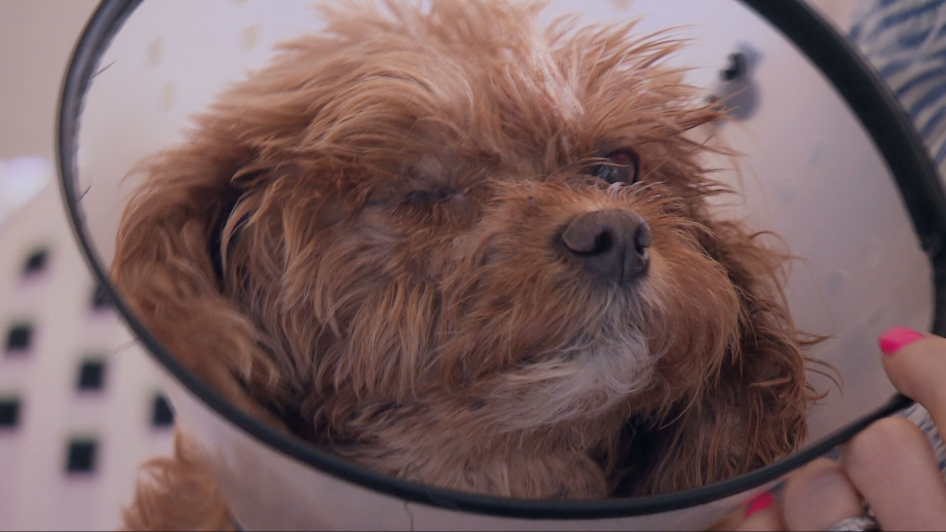 Years: Lucy had to have her eye removed
