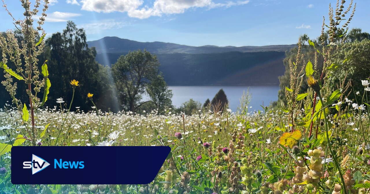 Highland communities invited to apply for government nature restoration grant