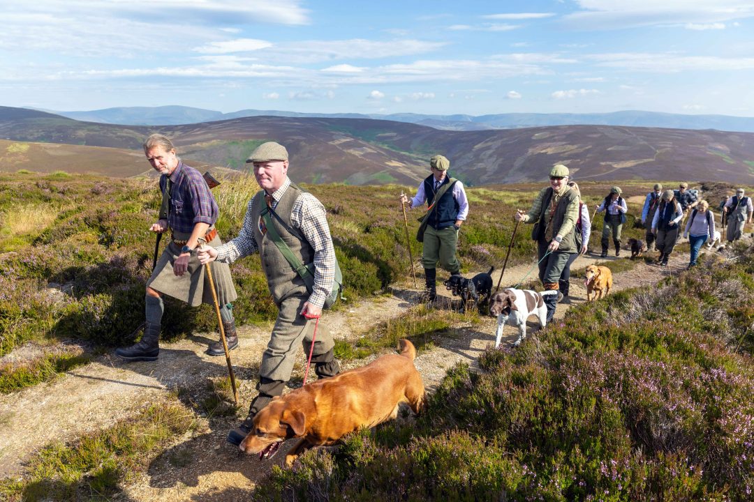 Grouse shooting provides major boon to Scottish economy – but should it be allowed?