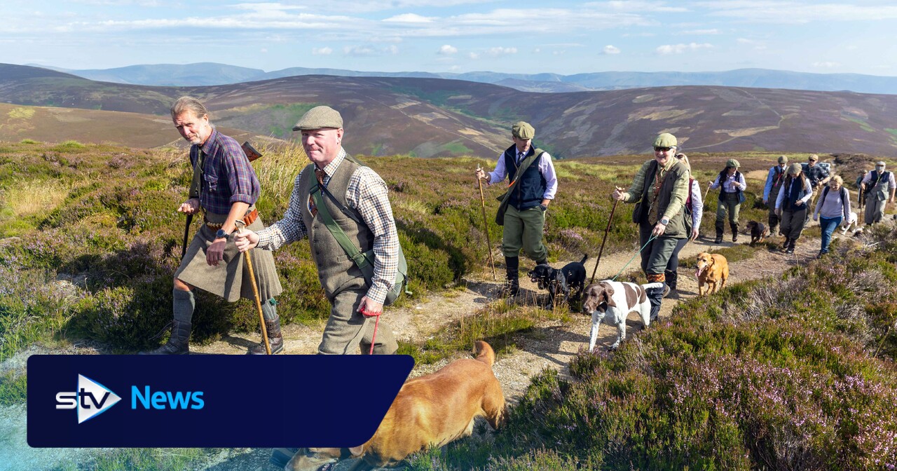 Grouse shooting provides major boon to Scottish economy - but should it be allowed?