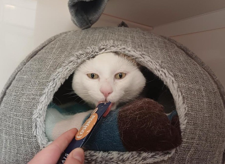Link was adopted from the Aberdeenshire centre