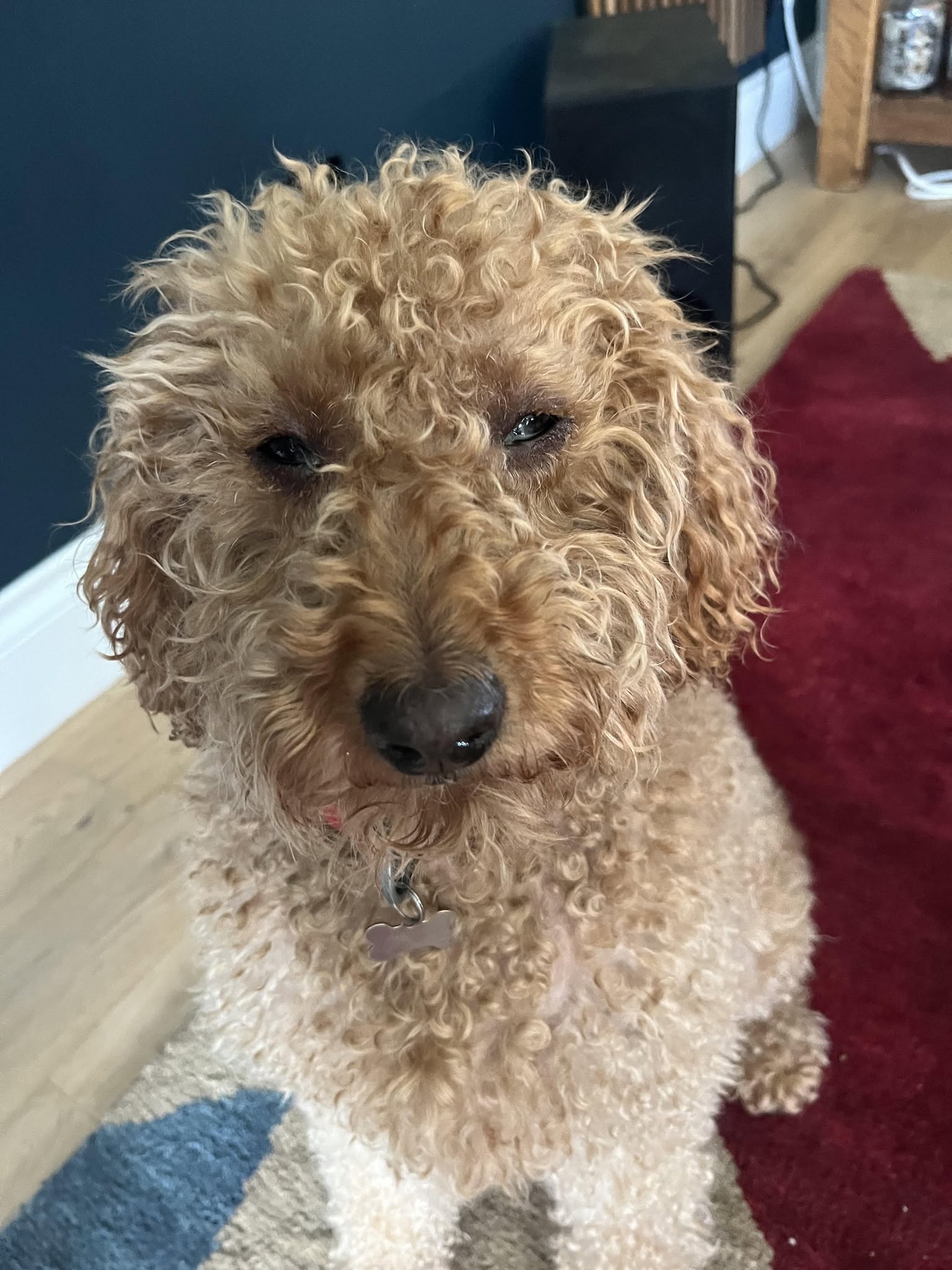 Alfie had started eating Years food products in April of this year