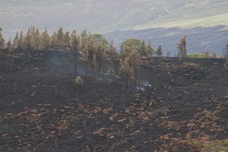 Part of wildfire cordon around village to be lifted on Friday morning