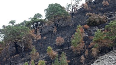 Plans for staged re-opening of wildfire cordons being finalised