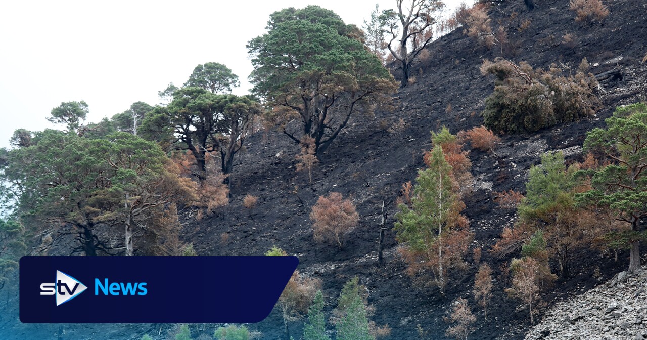 Schottland muss jetzt handeln, um das Waldbrandrisiko zu reduzieren ...