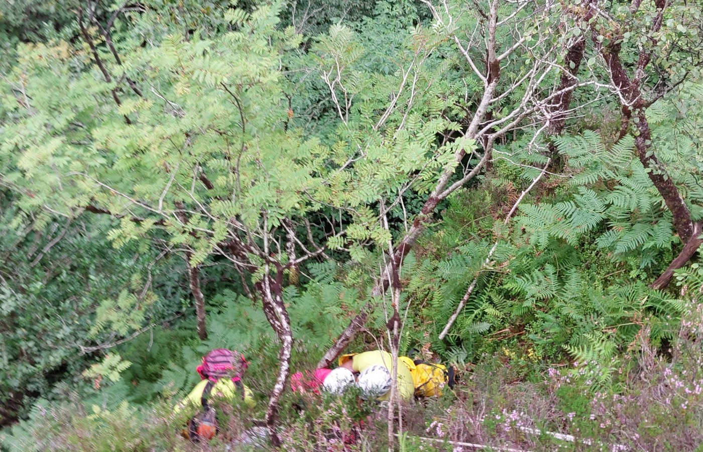 The MRT was able to bring the walker up from the gorge using ropes