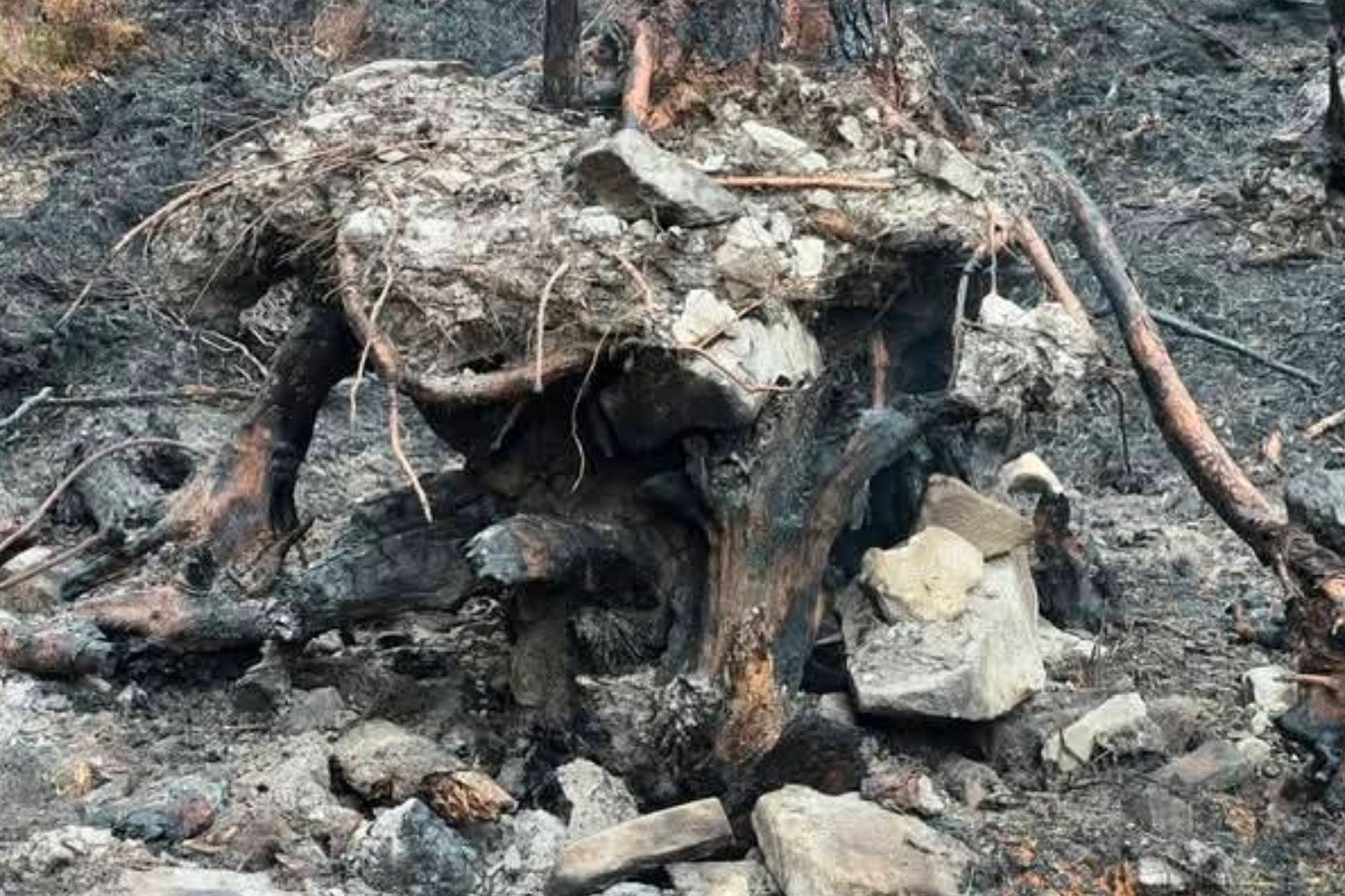 Much of the area remains devastated