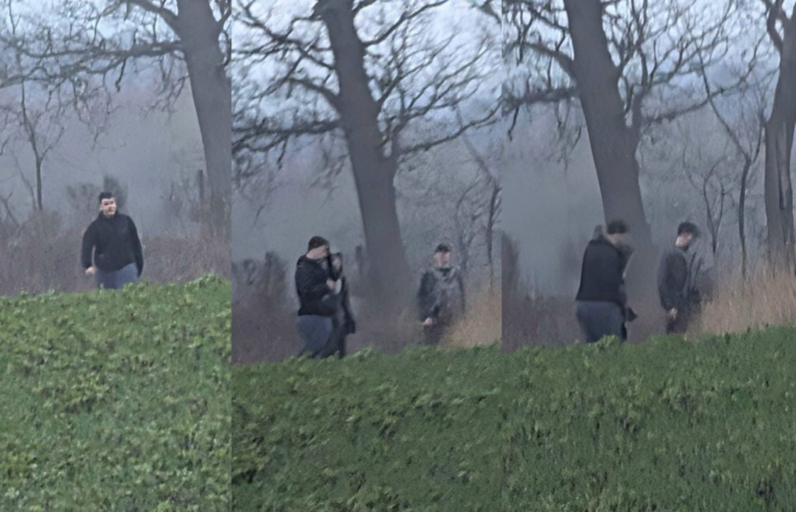 Police investigating wilful fire-raising incidents release images of three men