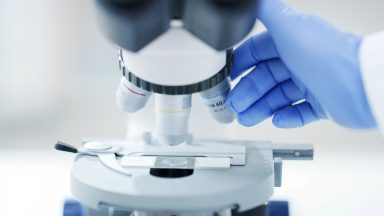Microbe that reproduces by bursting open could boost omega-3 production – study