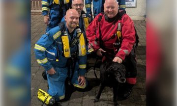 Dog rescued from water after slipping lead and falling into Ardrossan harbour