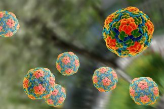 Vaccinations offered after Hepatitis A outbreak linked to Aberdeen primary school