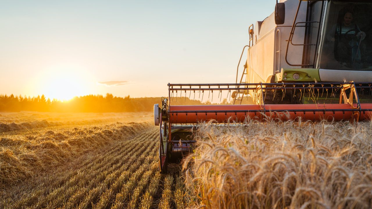 What does England’s worst harvest mean for food prices in Scotland?
