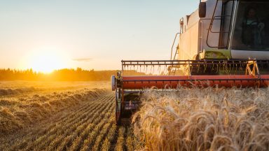 What does England’s worst harvest mean for food prices in Scotland?