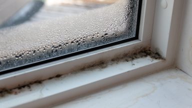 Dundee City Council set to spend £5.2m on mould and rot repairs