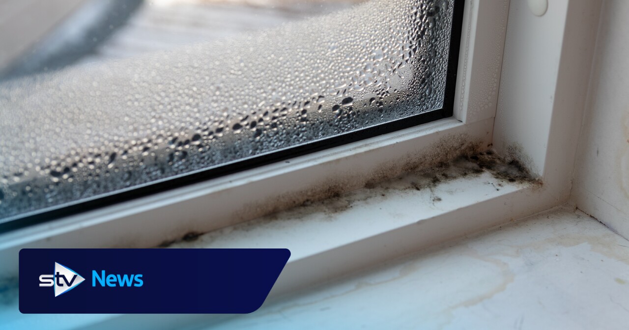 Council set to spend £5.2m on mould and rot repairs