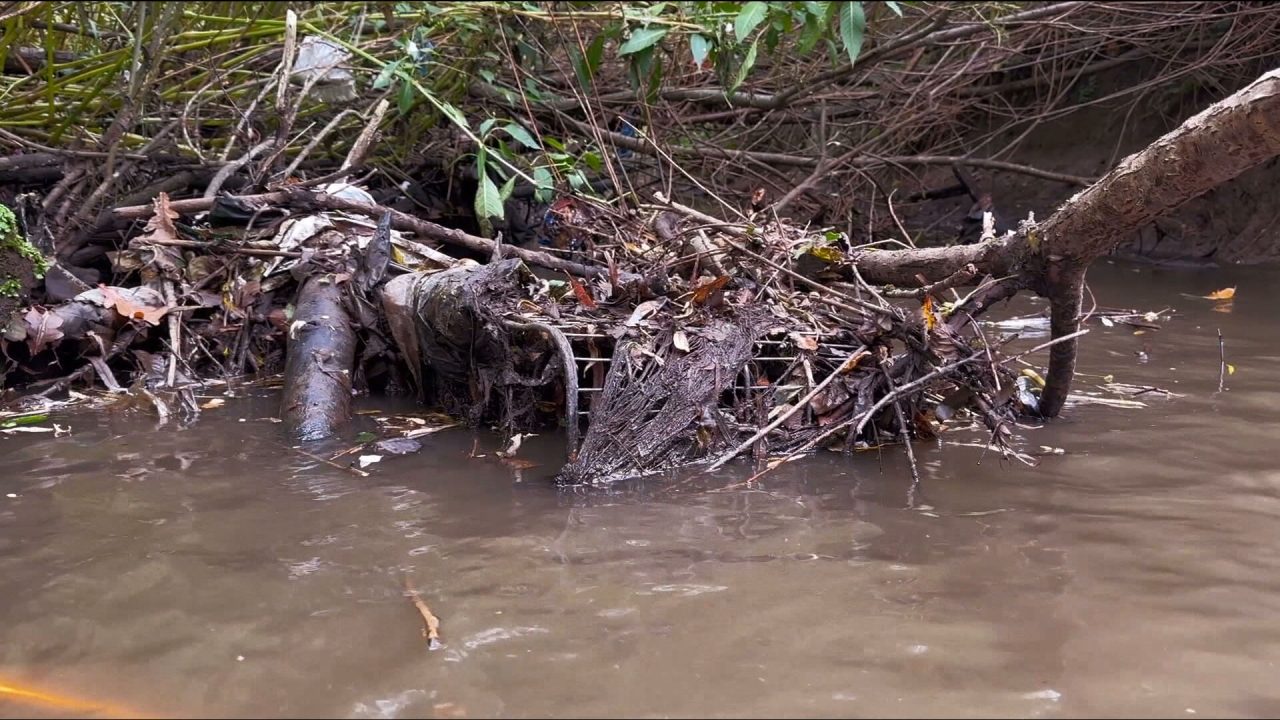 Hundreds of trolleys pulled from Brockburn River by volunteer on 100-day clean up mission