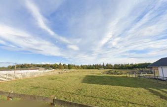Dog lover gets go ahead for East Lothian pet crematorium after sharing personal grief