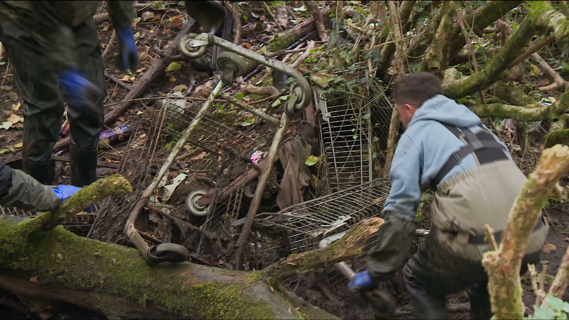 Nearly 200 trolleys have been pulled from the water