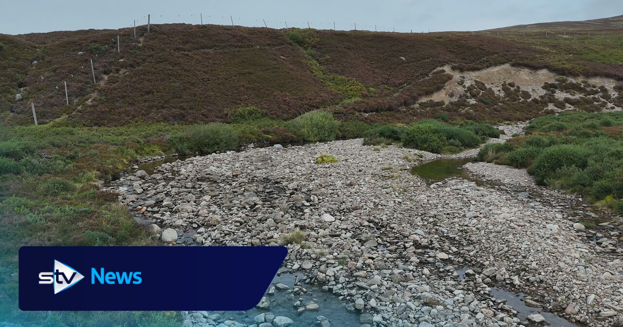 Ambitious project aims to restore salmon river dry for almost 90 years
