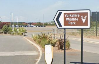 Man dies after entering tiger enclosure at Yorkshire Wildlife Park