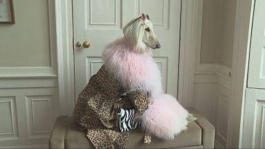 Edinburgh hound’s stylish looks thrill viewers online and land her in pages of Vogue