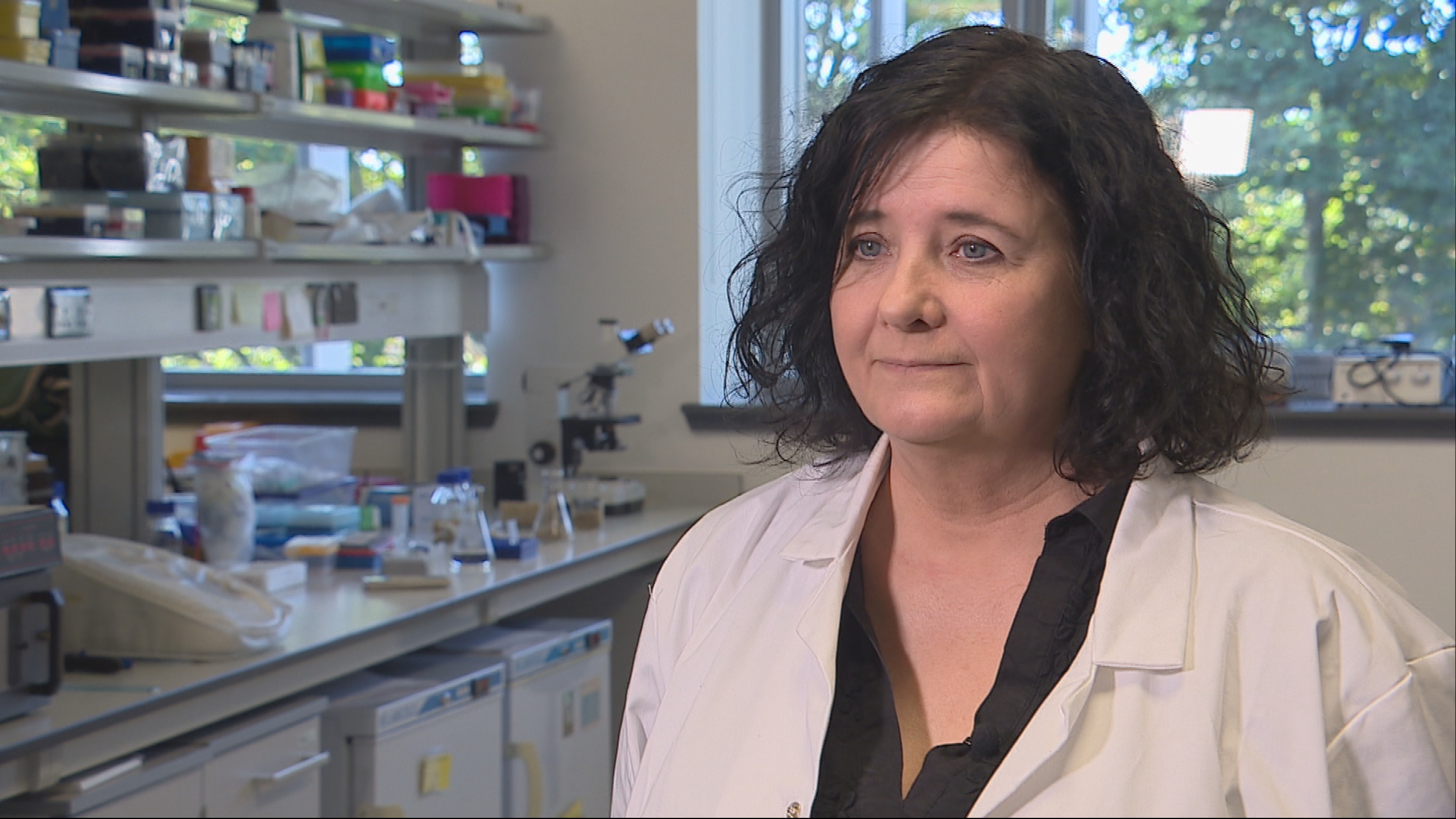 Professor Wendy Russell
