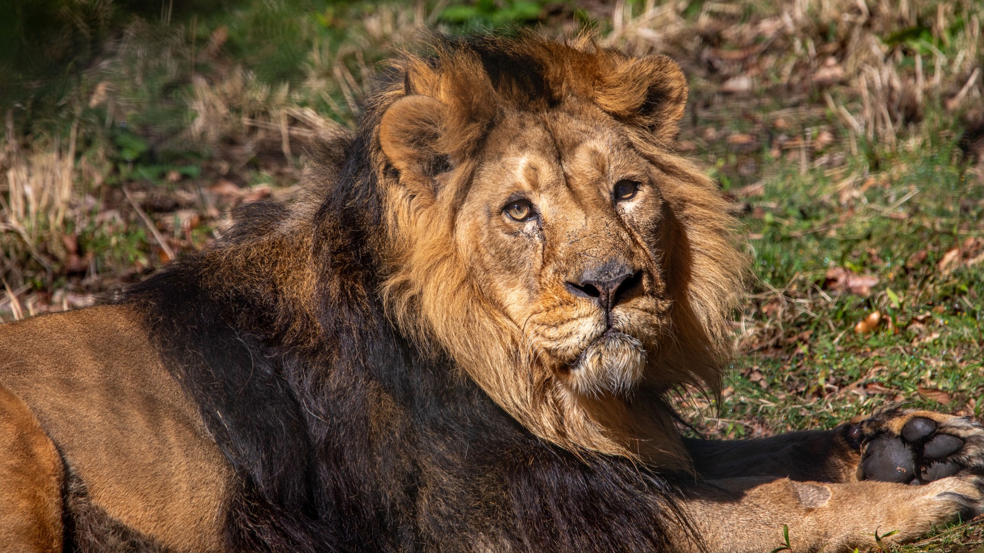 Jayendra, known as Jay, is 15 years old and is known for being very chill.