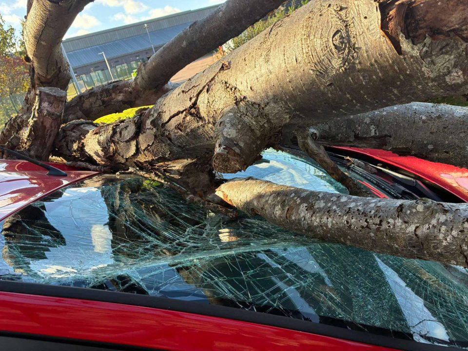 In pictures: Storm Boelo leaves trail of destruction across Scotland