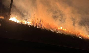 Firefighters tackle blaze within field near Burleigh Castle