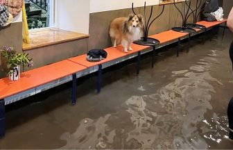 Shetland businesses flooded by ‘biblical’ rain