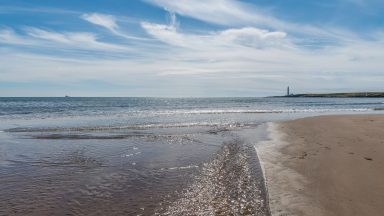 Body of man recovered from water at Montrose beach