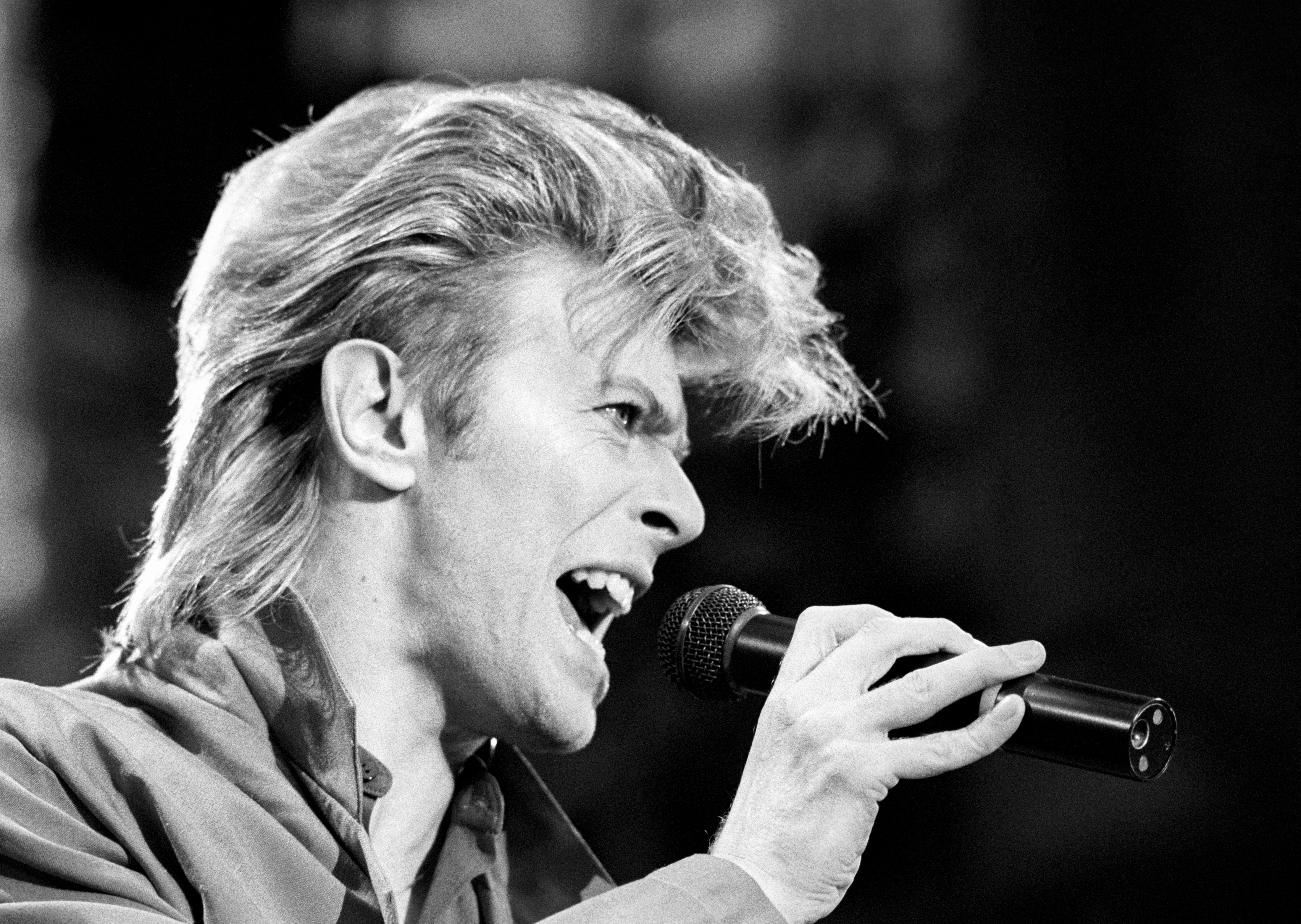 David Bowie died in 2016 (PA)