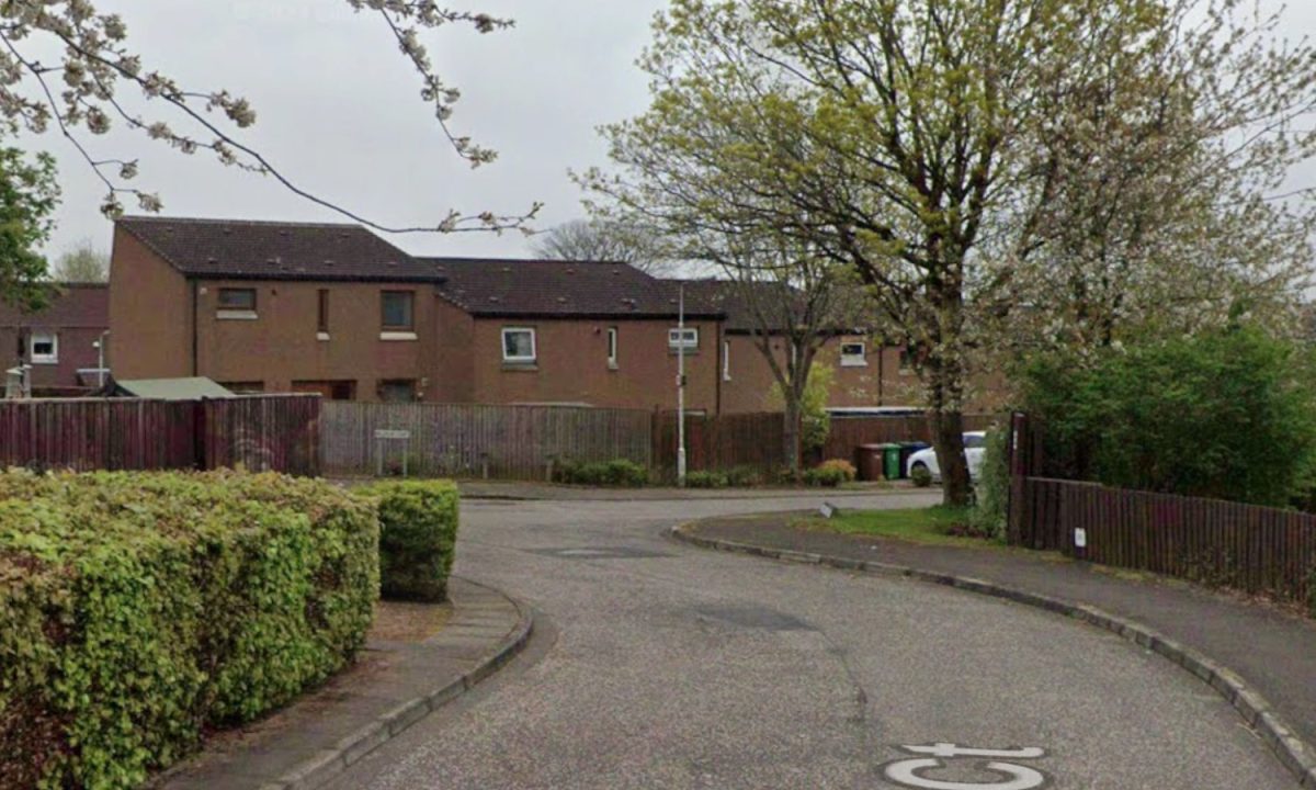 Man, 80, dead after being ‘seriously injured’ as suspect arrested