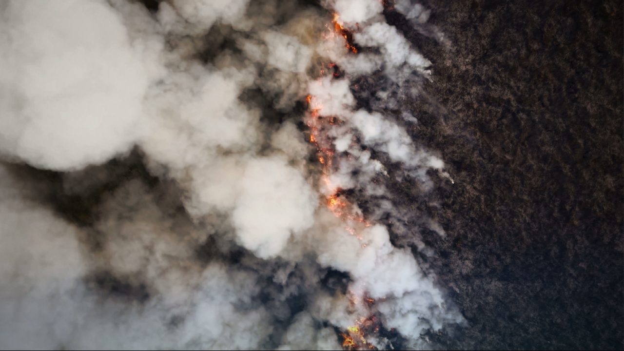 ‘Race against time’ to protect Cairngorms from another major wildfire