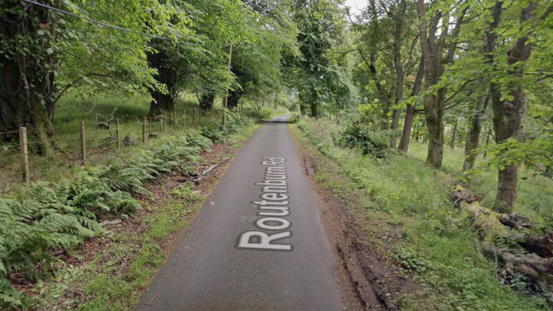 Routenburn Road is a single-lane rural road meant for tractors, walkers and cyclists.