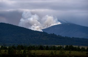 Review urged of Scotland’s fire service after ‘devastating’ Cairngorms blaze