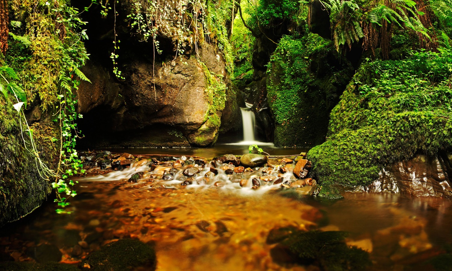 Dollar Glen