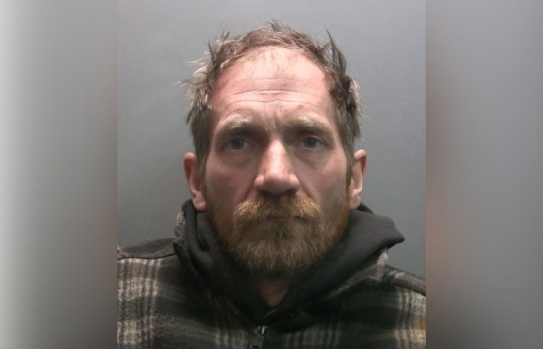 Sycamore Gap tree vandal released from prison