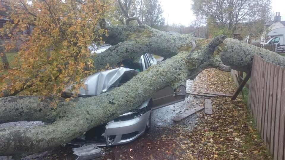 Tree down on car on Kingsford Road, Alford, Aberdeenshire.