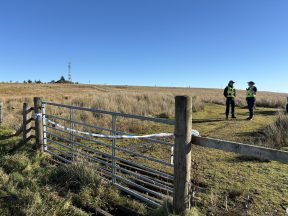 Teen, 16, and 80-year-old man die in light aircraft crash near Loch Lomond