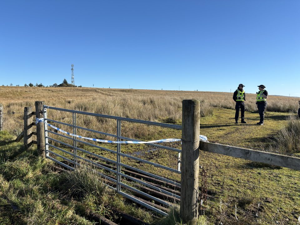 Teen, 16, and 80-year-old man die in light aircraft crash near Loch Lomond
