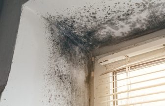 Awaab’s Law: What does new legislation mean for landlords and tenants?