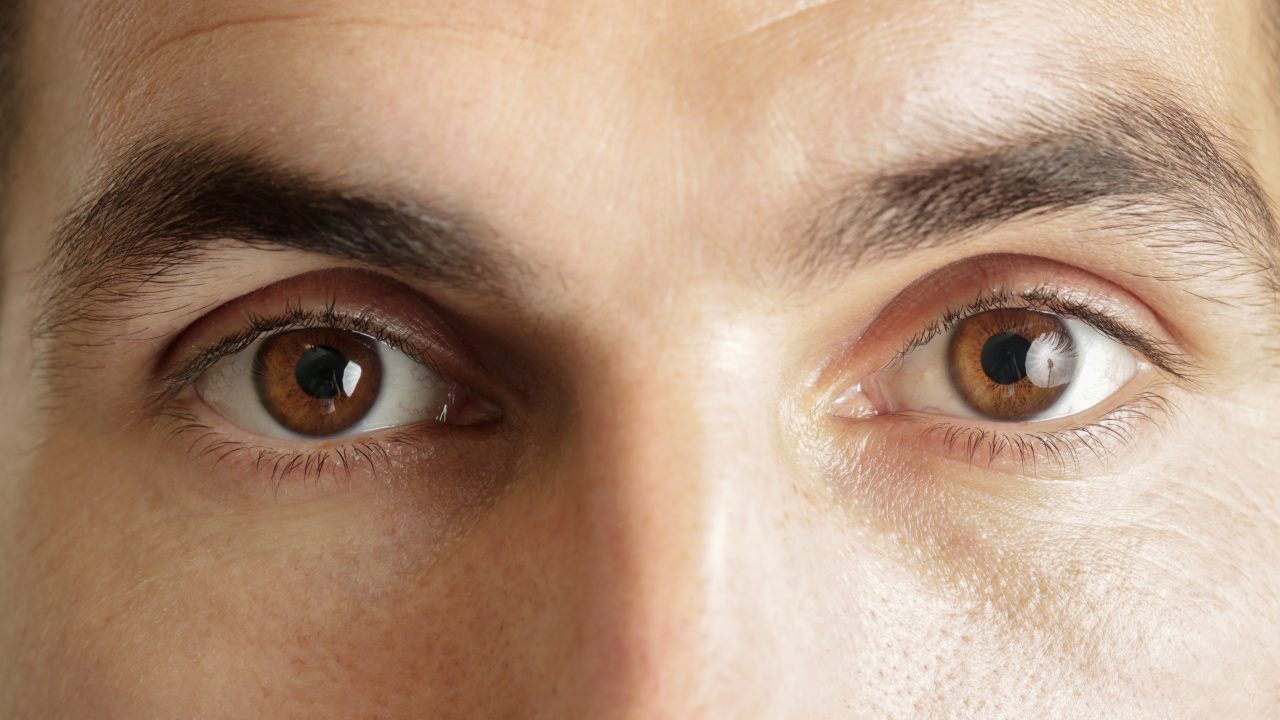 Raised brows and a slow blink make speakers look more confident, study finds