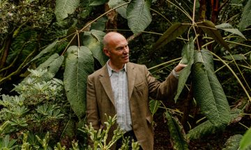 Tributes to botanic garden curator killed by falling tree during Storm Boelo 